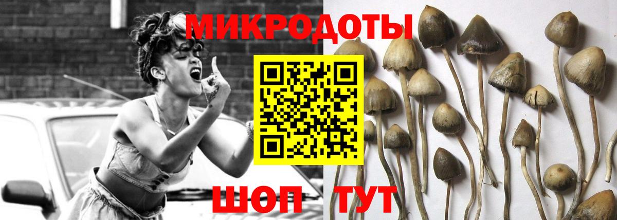 Галлюциногенные грибы прущие грибы  Вход с VPN  Псилоцибиновые грибы мухоморы  купить  сайты  Миасс 